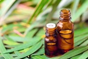 fresh eucalyptus Oil on fresh leaves for conscious skin care